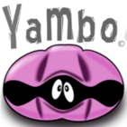 Elearning Yambo-Code.eu